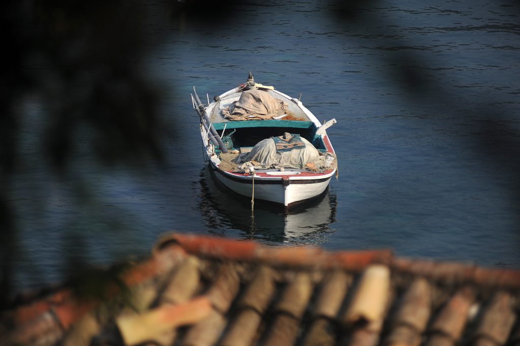 BARKA_TOMISLAV BRANDT_TZOK