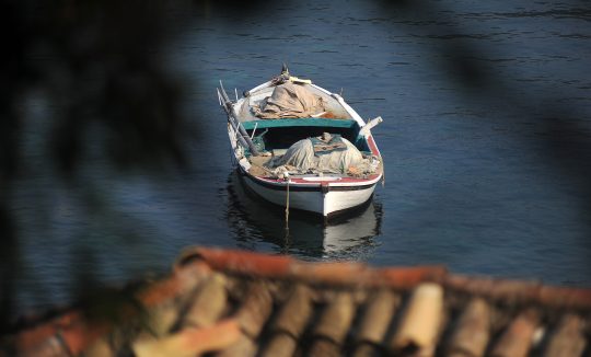 BARKA_TOMISLAV BRANDT_TZOK