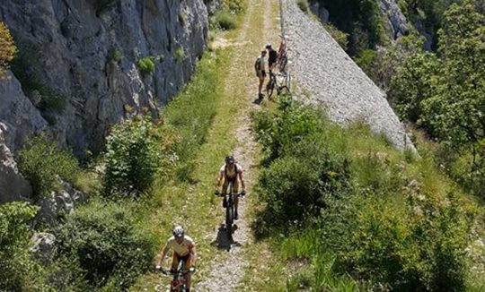 BICIKLI ĆIRO_KARMEN DIKLIĆ ZOROVIĆ_TZOK