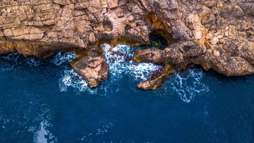 KOMAJSKA BUGOVINA_DARIO SKURIĆ_TZOK