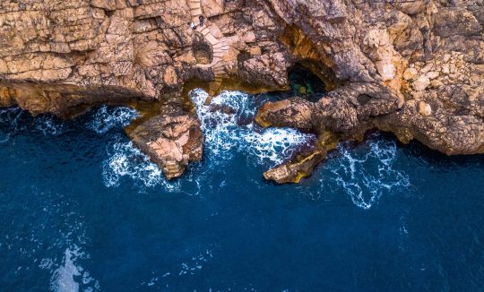 KOMAJSKA BUGOVINA_DARIO SKURIĆ_TZOK