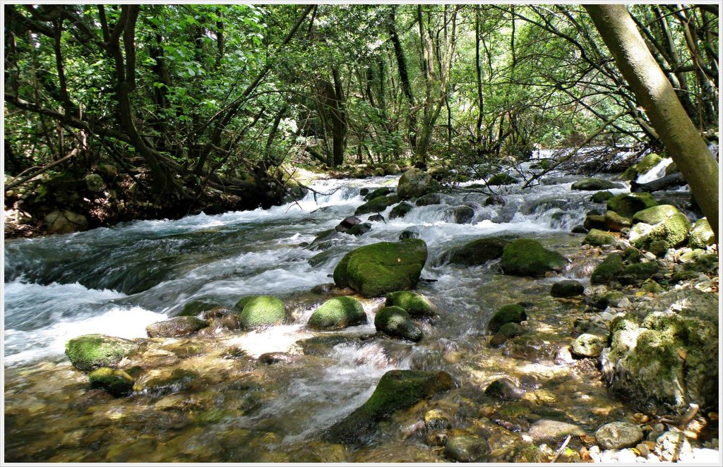 LJUTA1_KARMEN DIKLIĆ ZOROVIĆ_TZOK (2)