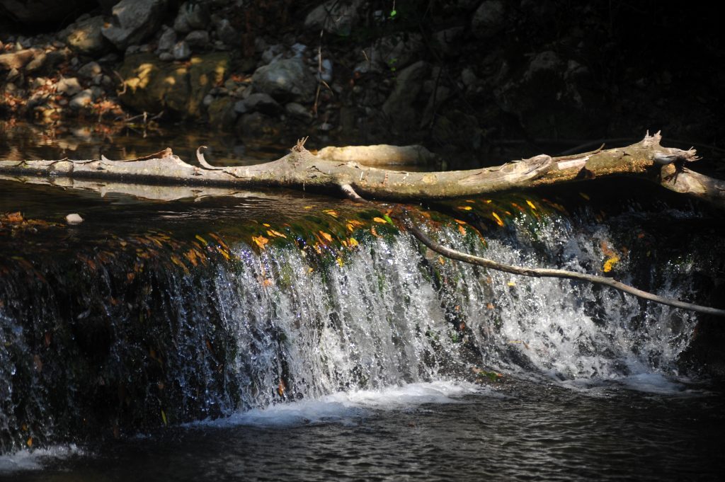 LJUTA1_TOMISLAV BRANDT_TZOK (2)