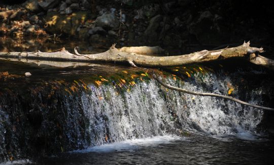 LJUTA1_TOMISLAV BRANDT_TZOK (2)