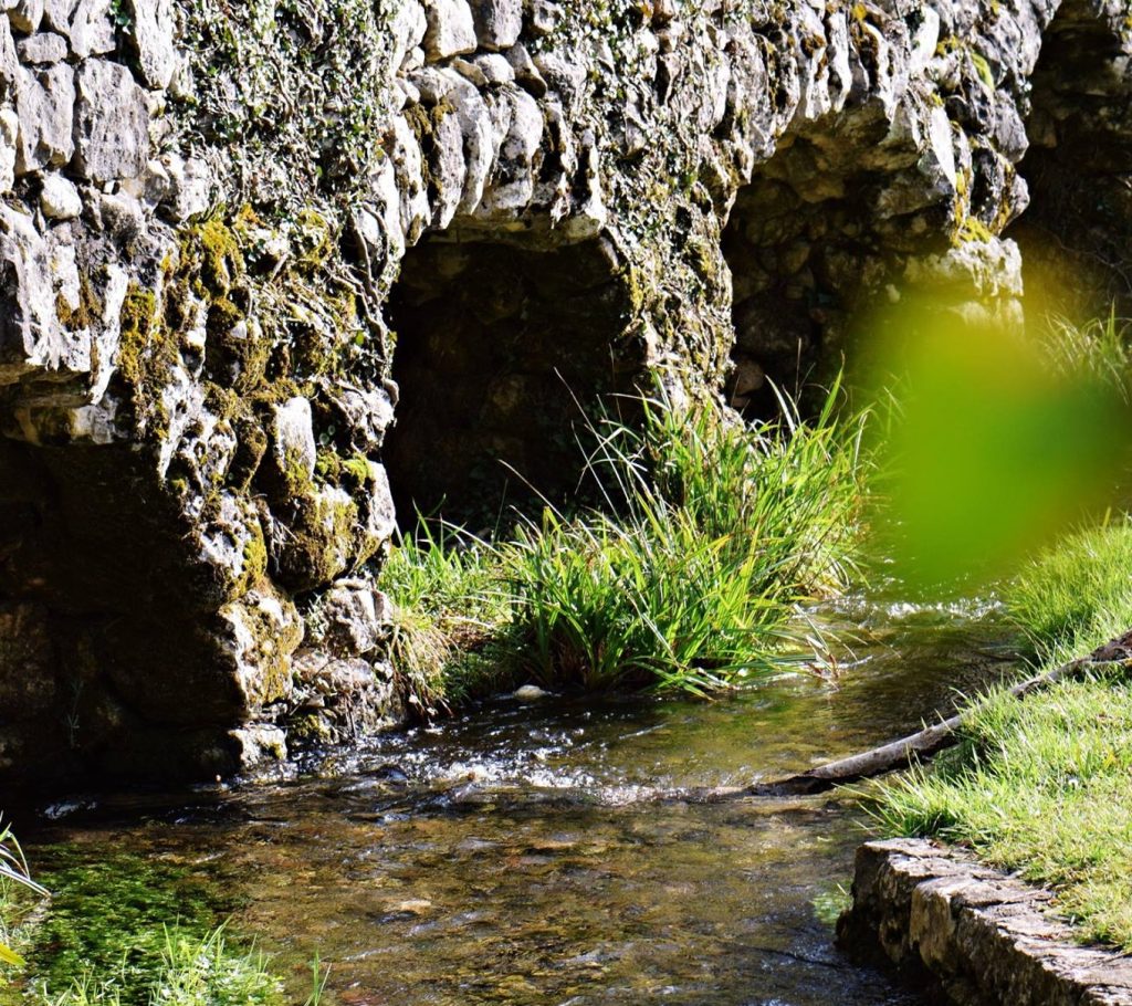 LJUTA_KARMEN DIKLIĆ ZOROVIĆ_TZOK (1)