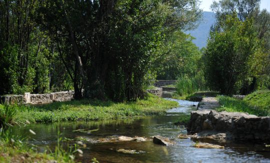 LJUTA_TOMISLAV BRANDT_TZOK (1)