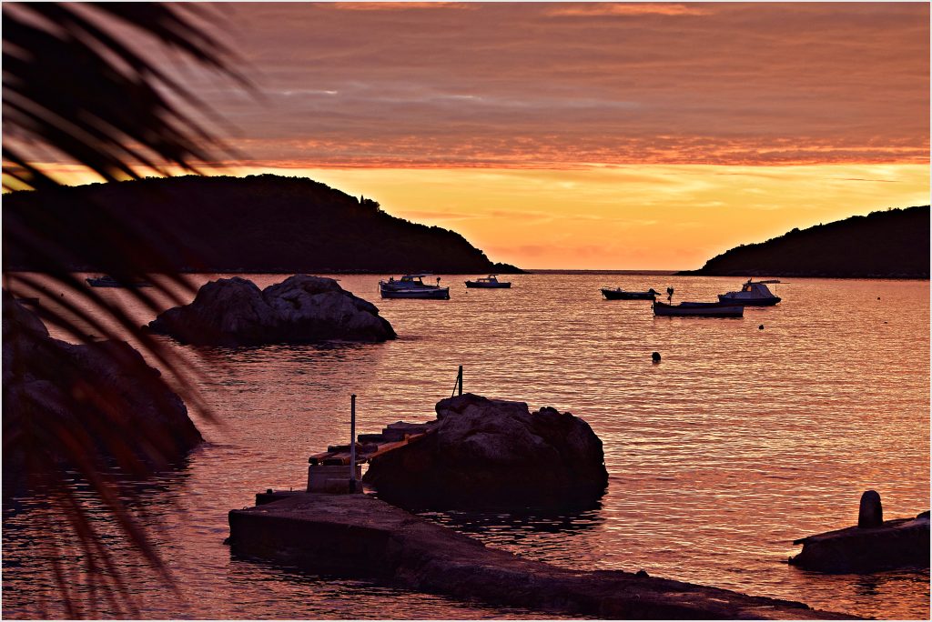 MOLUNAT SUNSET_KARMEN DIKLIĆ ZOROVIĆ_TZOK