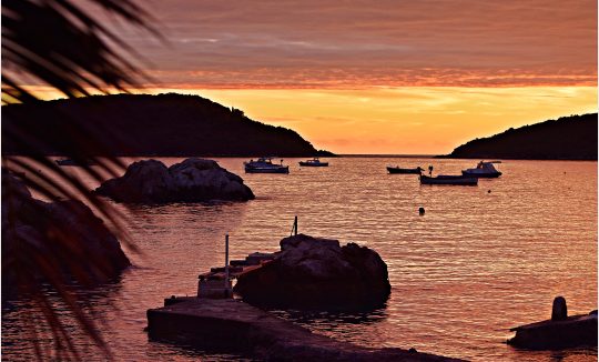 MOLUNAT SUNSET_KARMEN DIKLIĆ ZOROVIĆ_TZOK