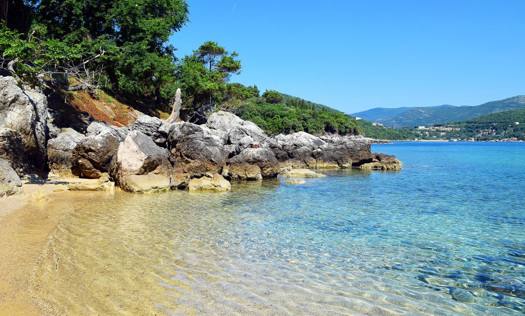 MOLUNAT_KARMEN DIKLIĆ ZOROVIĆ_TZOK.