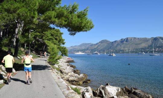 OKO RATA_KARMEN DIKLIĆ ZOROVIĆ_TZOK