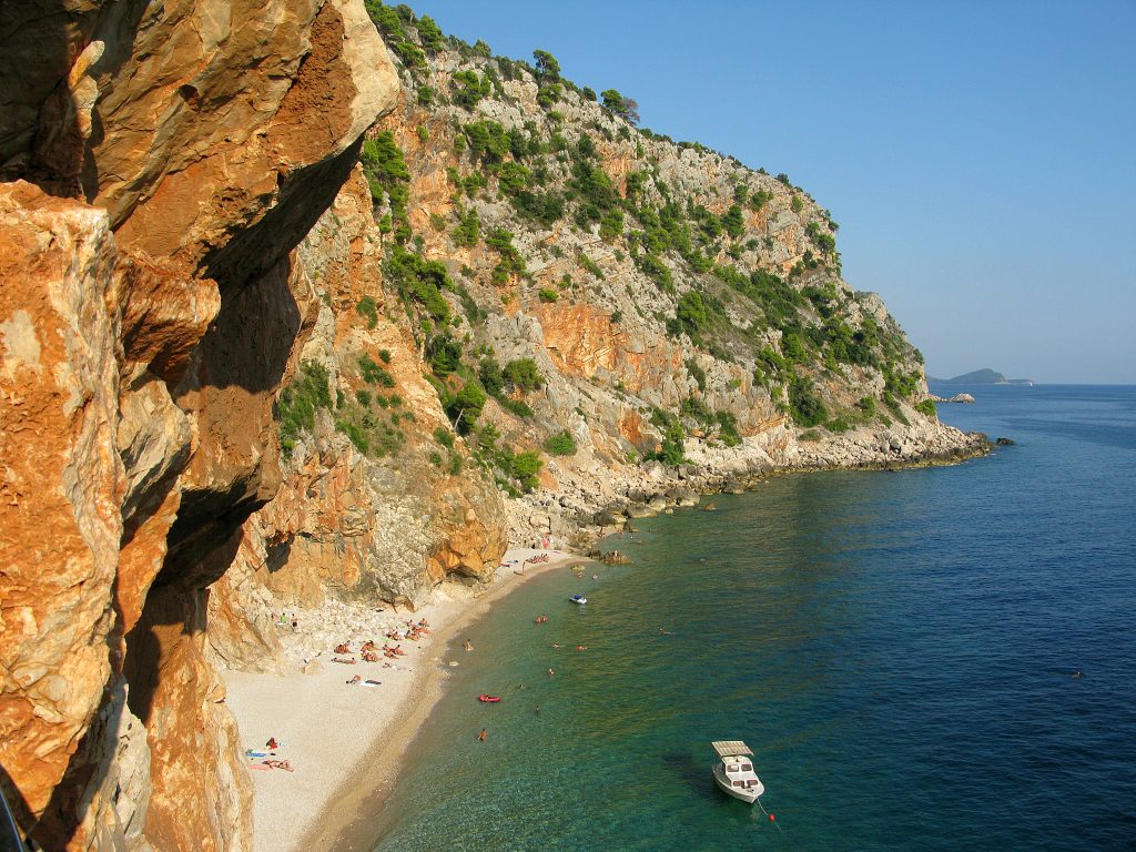 PASJAČA_TOMISLAV BRANDT_TZOK