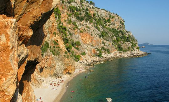 PASJAČA_TOMISLAV BRANDT_TZOK