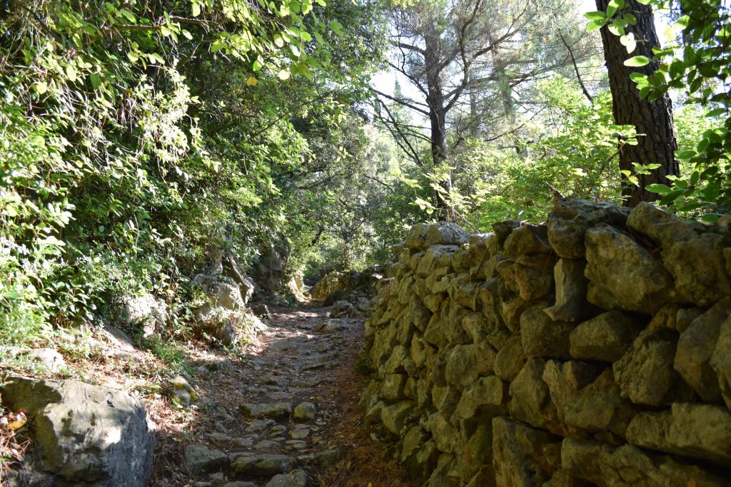 PJEŠAČKA_KARMEN DIKLIĆ ZOROVIĆ_TZOK