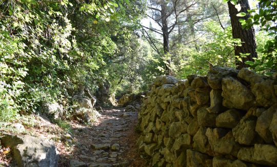 PJEŠAČKA_KARMEN DIKLIĆ ZOROVIĆ_TZOK