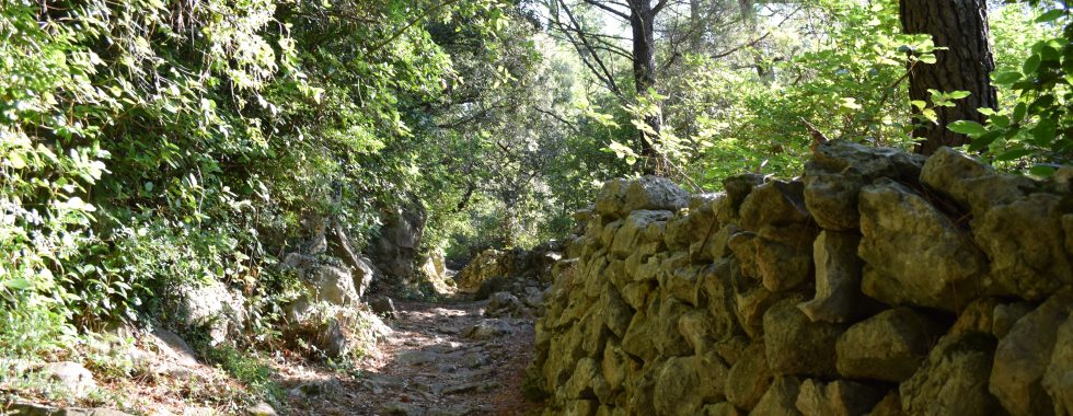 PJEŠAČKA_KARMEN DIKLIĆ ZOROVIĆ_TZOK