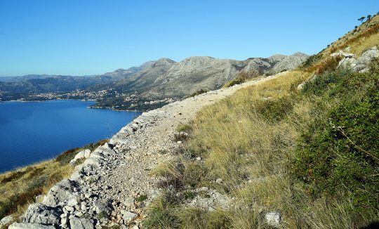 RON BROWN_KARMEN DIKLIĆ ZOROVIĆ_TZOK